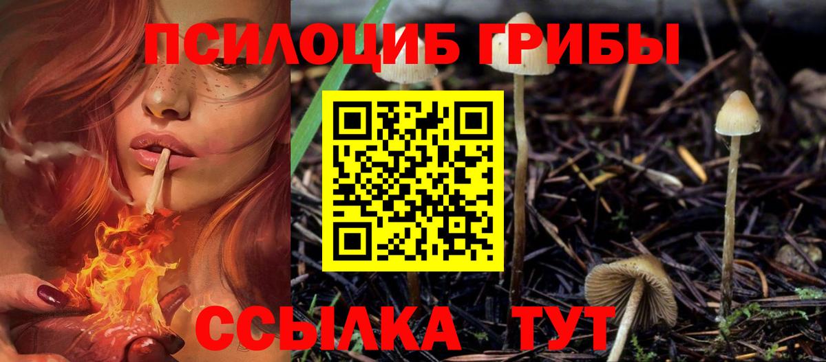 Псилоцибиновые грибы прущие грибы  Вход с VPN  Галлюциногенные грибы MAGIC MUSHROOMS  что такое   Дивногорск 