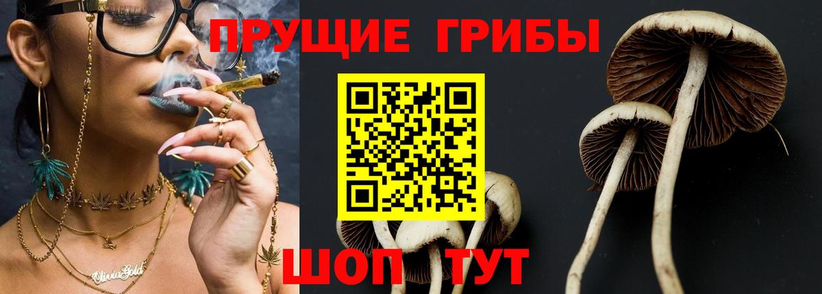 Галлюциногенные грибы Cubensis Дивногорск